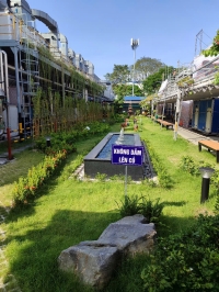 Thi công trang trí và chăm sóc tiểu cảnh khuôn viên công ty Coherent Vietnam