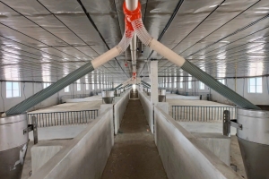 Báo giá xây dựng nhà xưởng mới